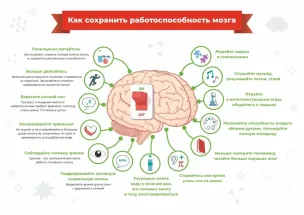 Семь столпов здорового мозга